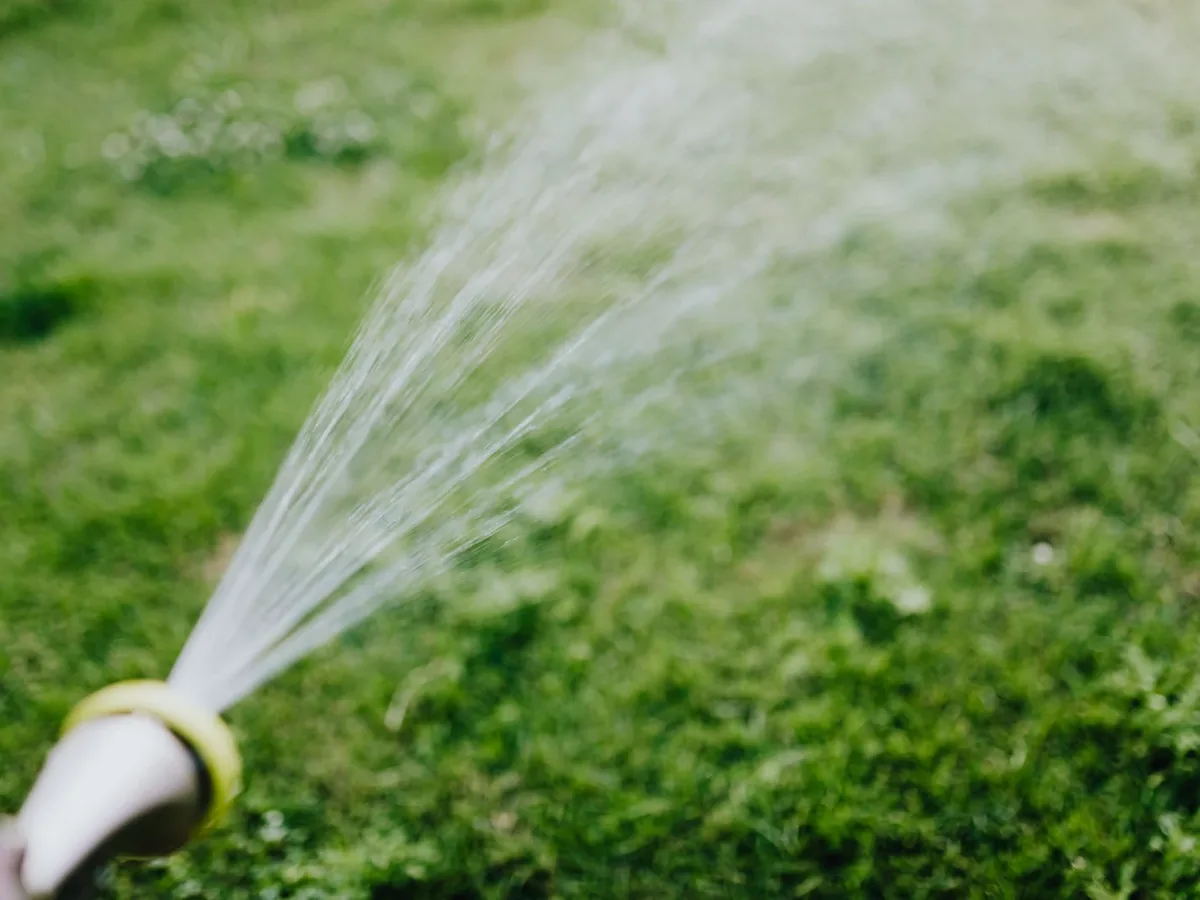 Water spraying over green grass