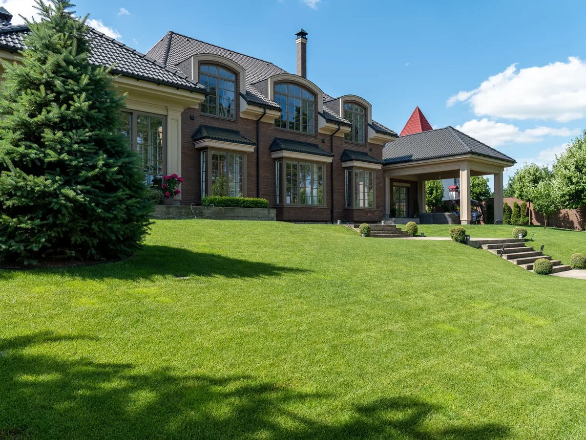 Large healthy lawn with trimmed hedges