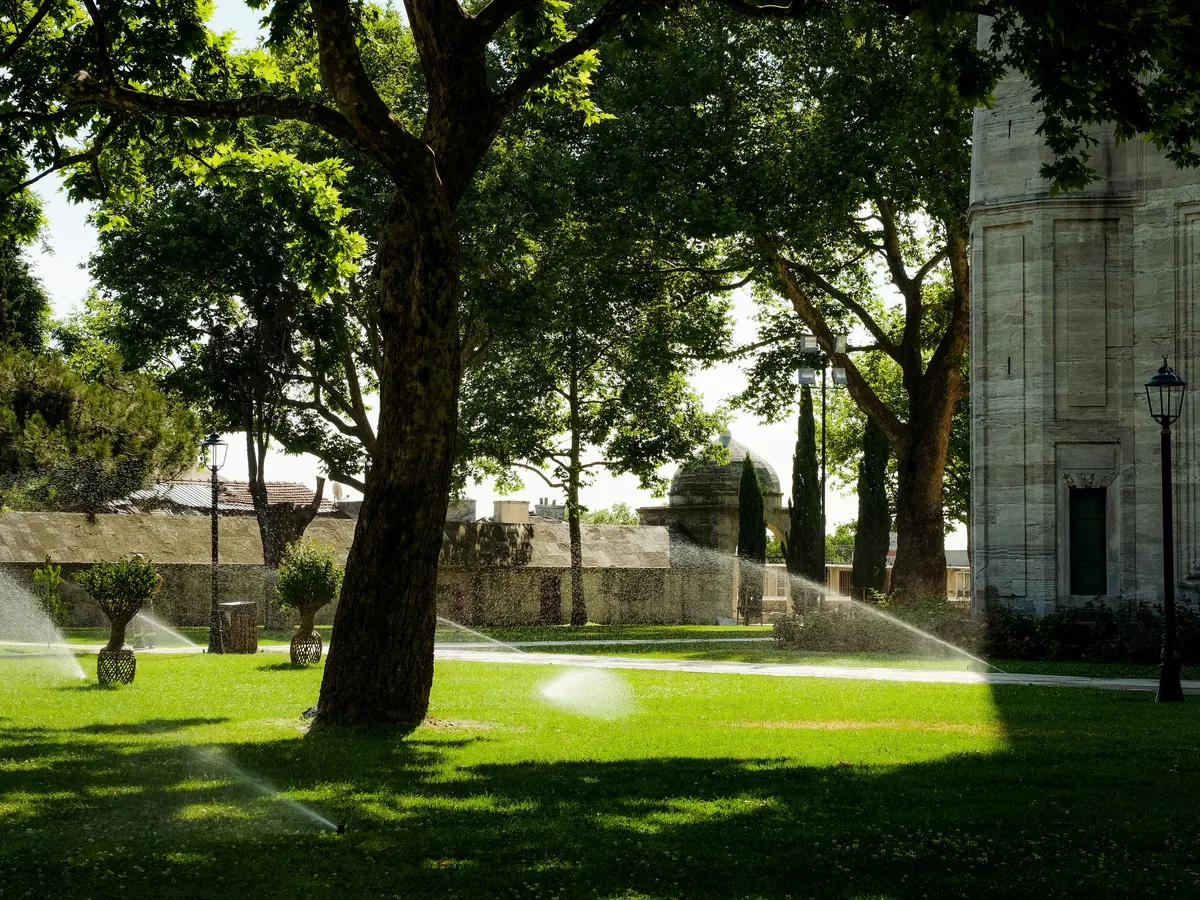 Lawn sprinklers running under shade trees