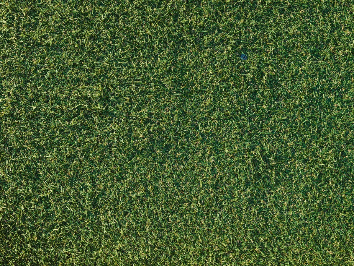 Close-up of dense artificial grass